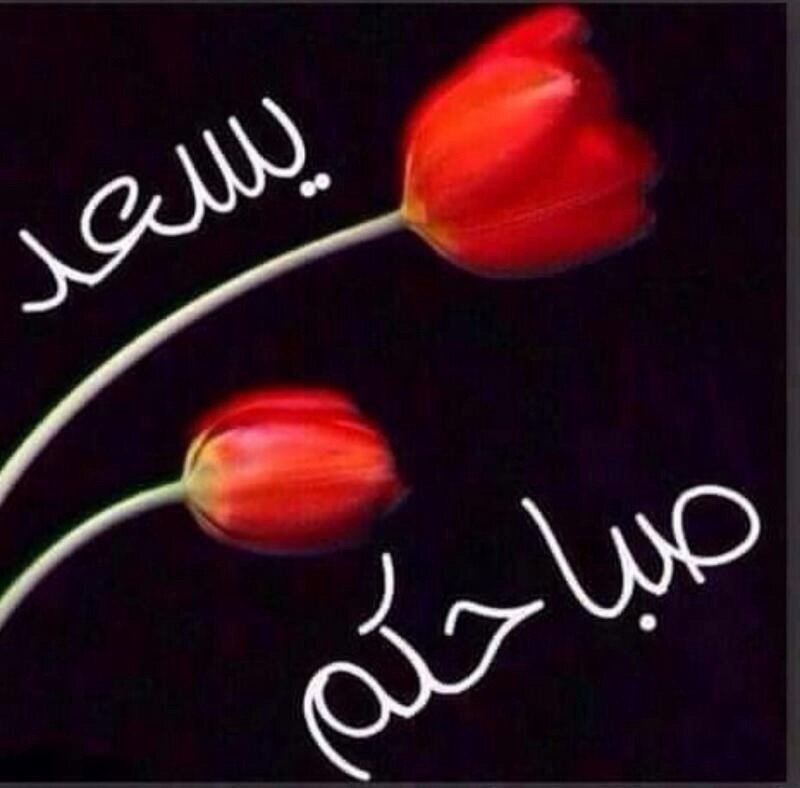ابو ضاري tweet media