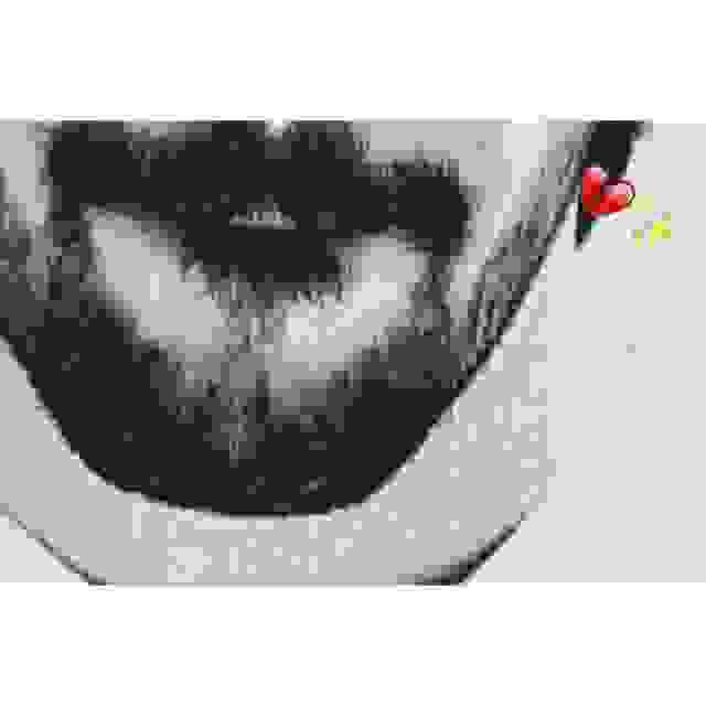 على الأقل اسأل وش الي جرالي 
 انسى المحبھ واعتبرها مواجيب