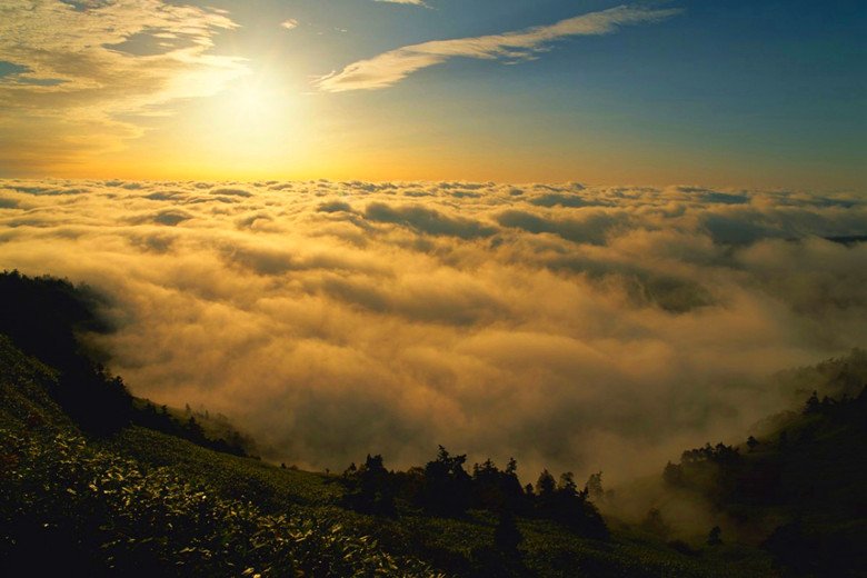 TourankApp's tweet photo. Amazing sea of clouds view in Shibu Toge Pass of Japan! #shibutogeview #seaofclouds #clouds #autumn #Japan #mountains #ThursdayThoughts https://t.co/OOROAHTMW3