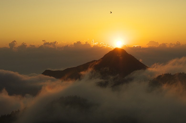 TourankApp's tweet photo. Amazing sea of clouds view in Shibu Toge Pass of Japan! #shibutogeview #seaofclouds #clouds #autumn #Japan #mountains #ThursdayThoughts https://t.co/OOROAHTMW3