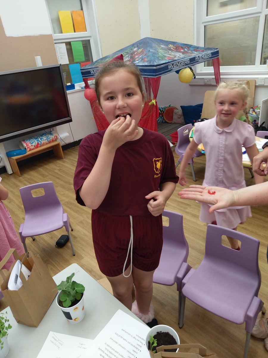 ABsolutely_Food's tweet photo. @WillocksRachel #Tasting with #Pupils @ricelanehead #Watching our #PlantsGrow #learningneverstops #ChilliTasting @chandco @glyn_ingram https://t.co/ijTqwigfnw