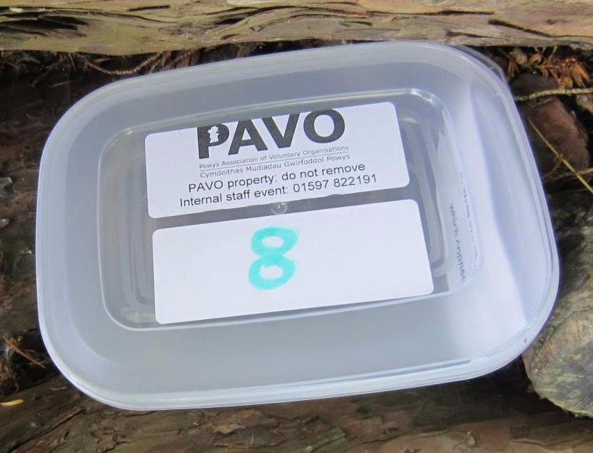 PAVOMH's tweet photo. Team building with a Treasure Hunt! 
@PowysConnectors @PartCymru @PAVOtweets #engagement https://t.co/FhUZnK9CGT #Llandrindod https://t.co/Xcc8xrW7l4