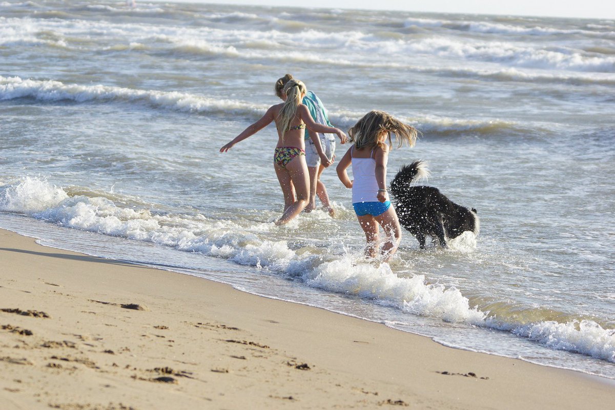 treffendbeeld's tweet photo. Naar het strand, de duinen in en lekker eten en winkelen. Genoeg te doen voor het hele gezin in Katwijk! @Dit_is_Katwijk @ZeezijdeKatwijk https://t.co/1twAPW502n