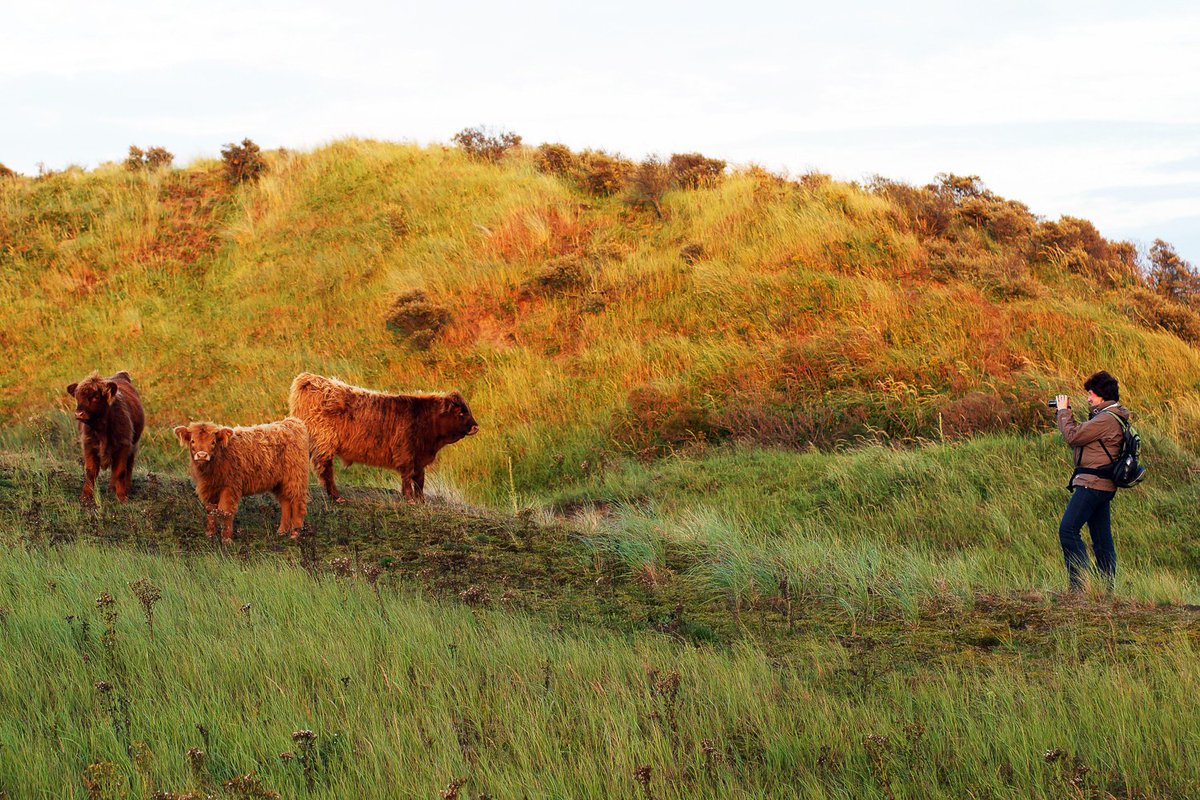 treffendbeeld's tweet photo. Naar het strand, de duinen in en lekker eten en winkelen. Genoeg te doen voor het hele gezin in Katwijk! @Dit_is_Katwijk @ZeezijdeKatwijk https://t.co/1twAPW502n