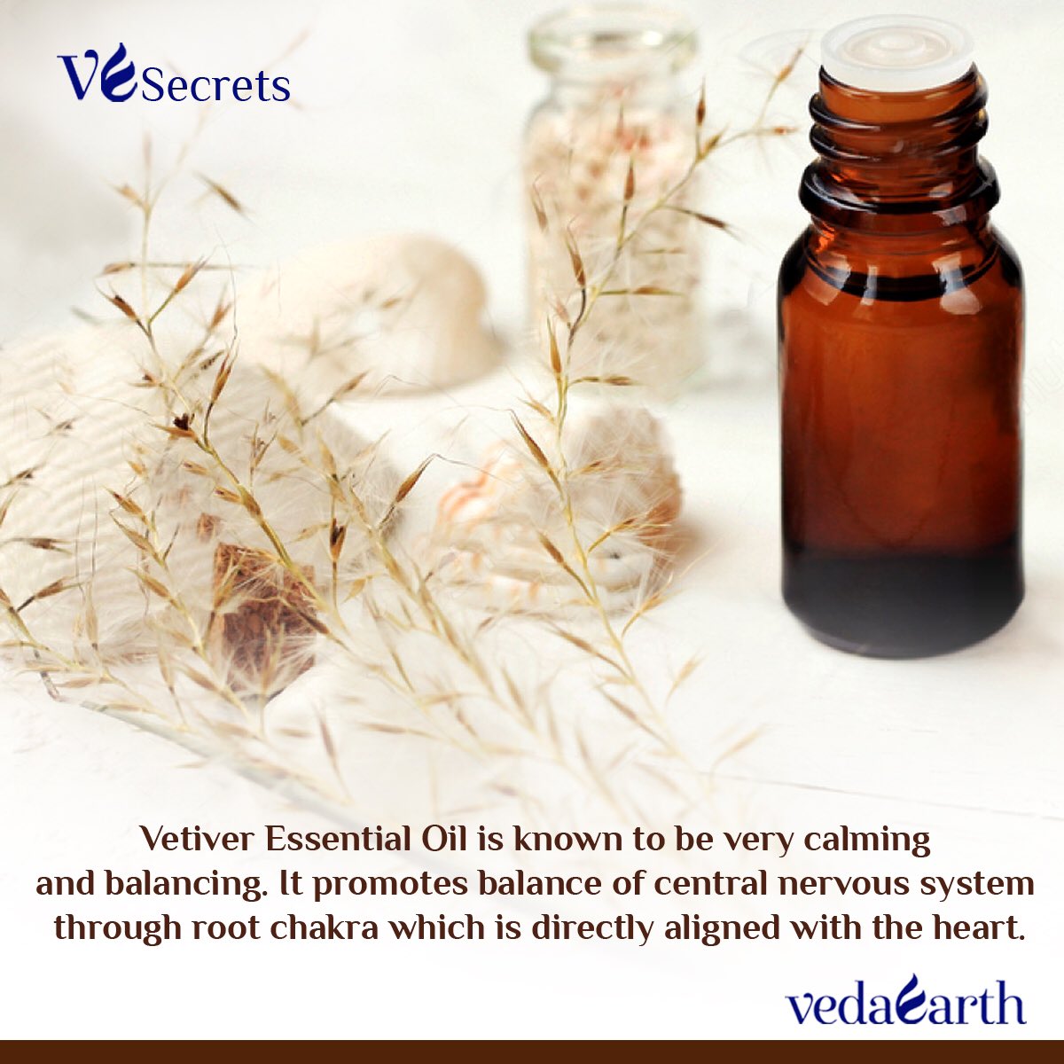 VedaEarth's tweet photo. #VedaEarth #MadeInIndia #vegan #Ayurveda #EssentialOils #CrueltyFree
#NoAnimalByProducts #AromaTherapy
#Handmade #VEsecrets https://t.co/CLK71ddo34