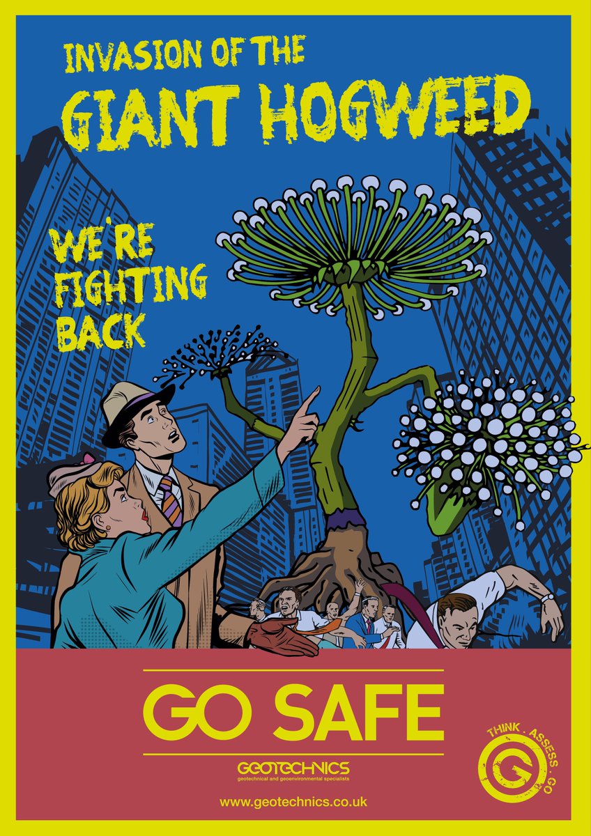geotechnics_ltd's tweet photo. Beware of the Giant Hogweed! We're tackling invasive plant species in our new #GOSAFE campaign https://t.co/G3lgUgIusL #safety https://t.co/10lszXqU12