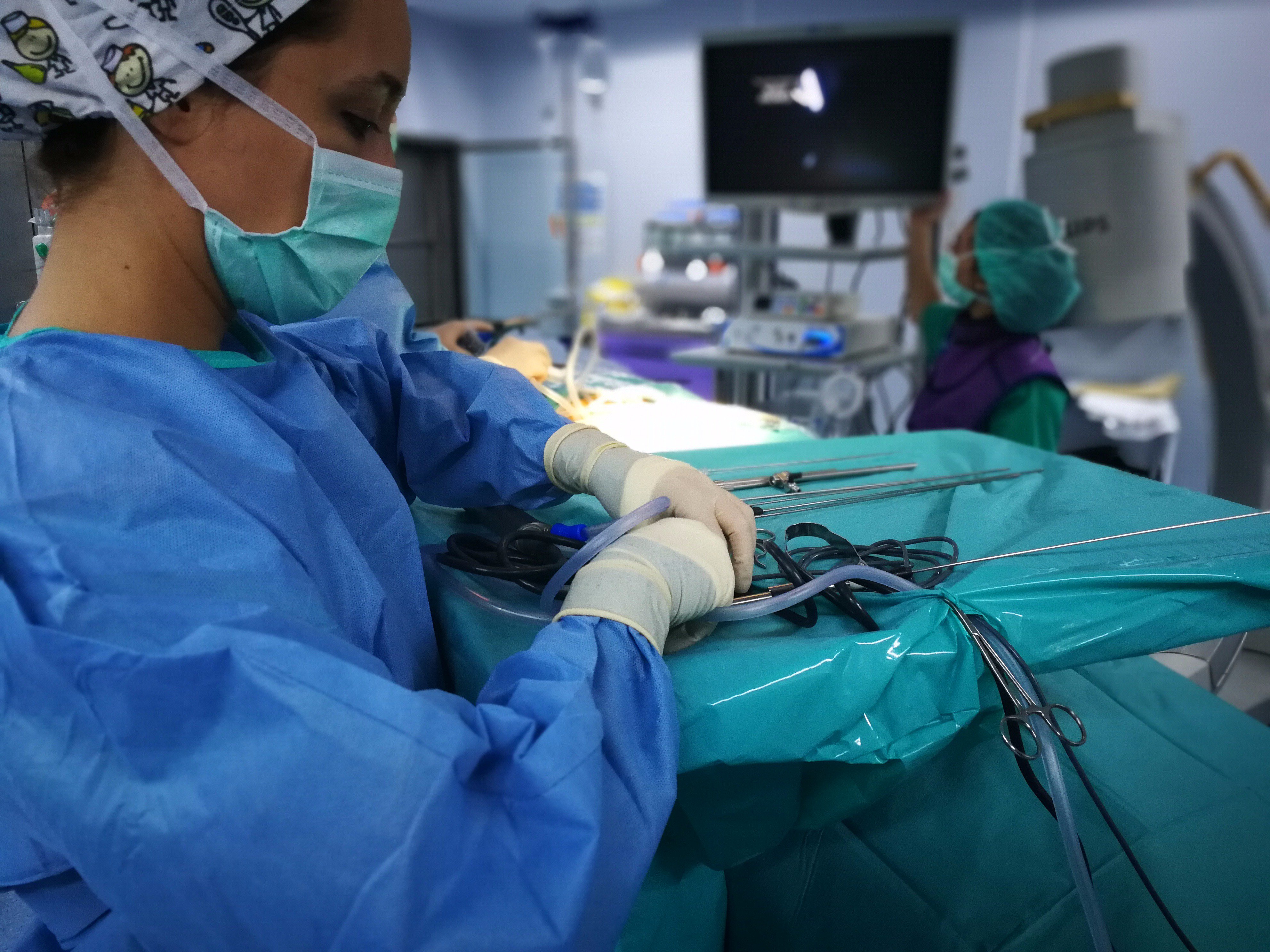 violación Vibrar circulación Dr. Elgeadi on Twitter: "Sin el trabajo de nuestra enfermera instrumentista  la labor del equipo no sería posible. 😊 #Traumatología #Surgery  https://t.co/IndYGy6Zgo https://t.co/KGrpwydXSY" / Twitter