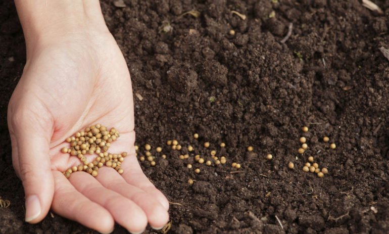 Seeds&Chips tweet media