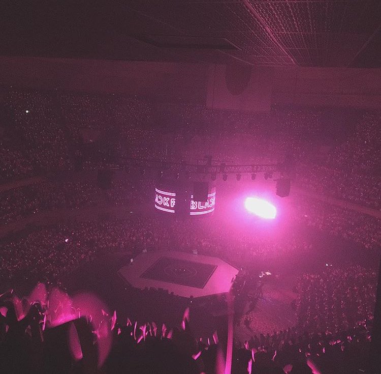 chartsblackpink's tweet photo. A 11 months old group did THAT! https://t.co/vmUGD2tvaS
