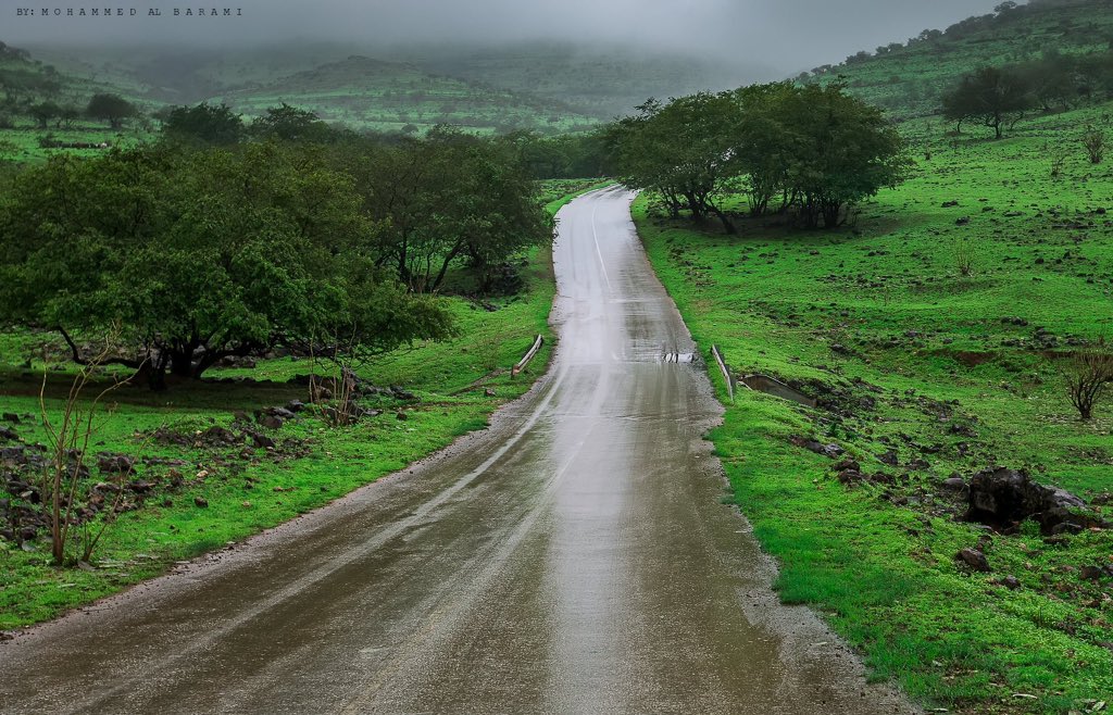 WeatherOman's tweet photo. هل تصدقون أن هذه المناظر الخلابة والجميلة ليست في النمسا أو ألمانيا ؟
أعزائنا انه #خريف_ظفار_2017 في جنوب سلطنة عُمان 🇴🇲 ! https://t.co/Q8Tg0JREV2