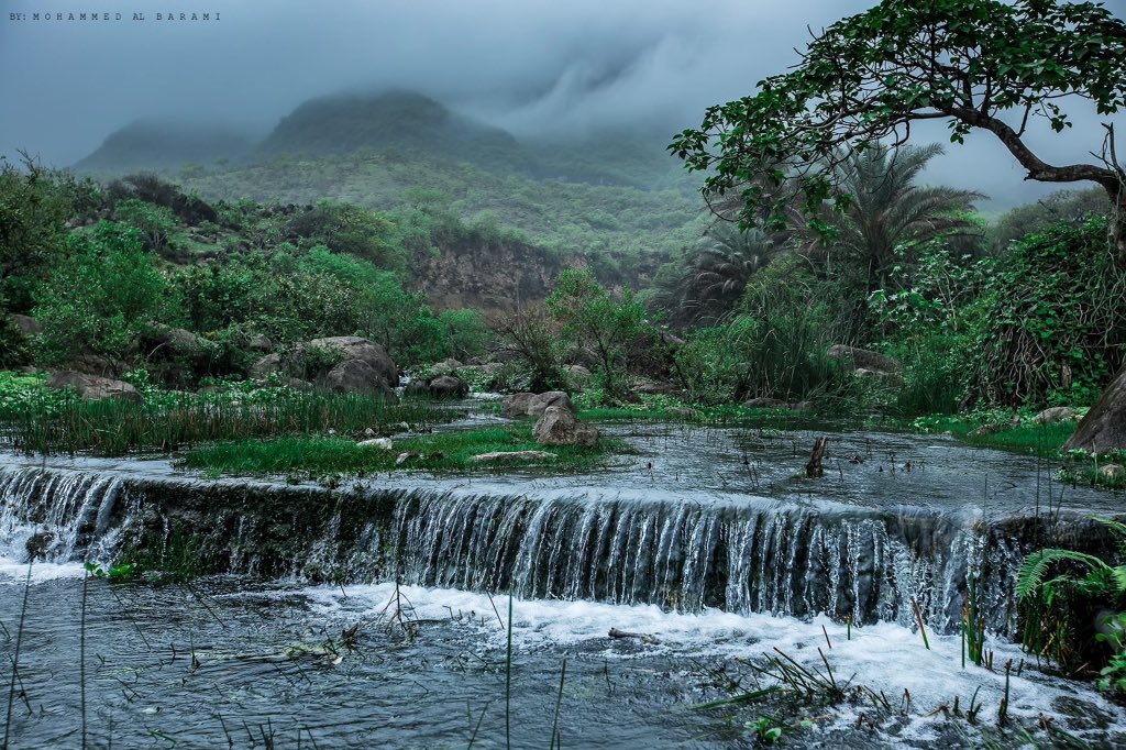 WeatherOman's tweet photo. هل تصدقون أن هذه المناظر الخلابة والجميلة ليست في النمسا أو ألمانيا ؟
أعزائنا انه #خريف_ظفار_2017 في جنوب سلطنة عُمان 🇴🇲 ! https://t.co/Q8Tg0JREV2