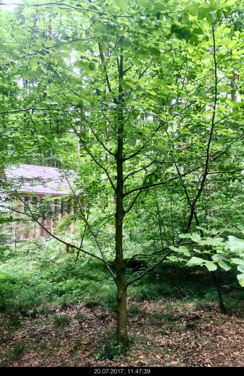 Ichhebgleichab (@ichhebgleichab) on Twitter photo 