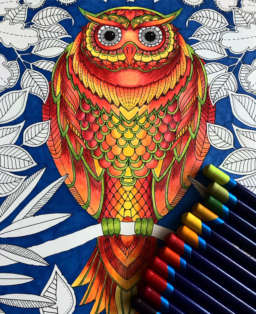 #Workinprogress #derwent #inktense #watercolor #owl #mijngeheimetuin #colorist #coloringforadults #AdultColoring