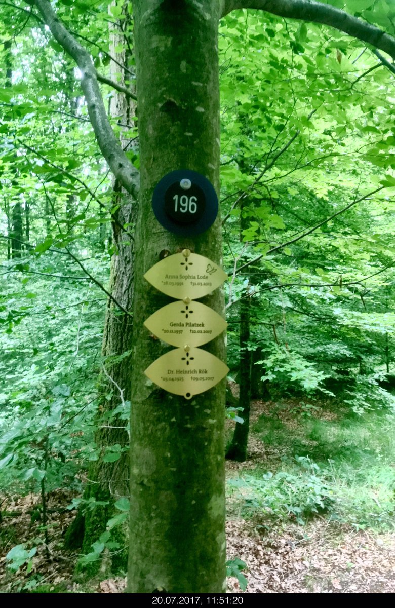 Ichhebgleichab (@ichhebgleichab) on Twitter photo 