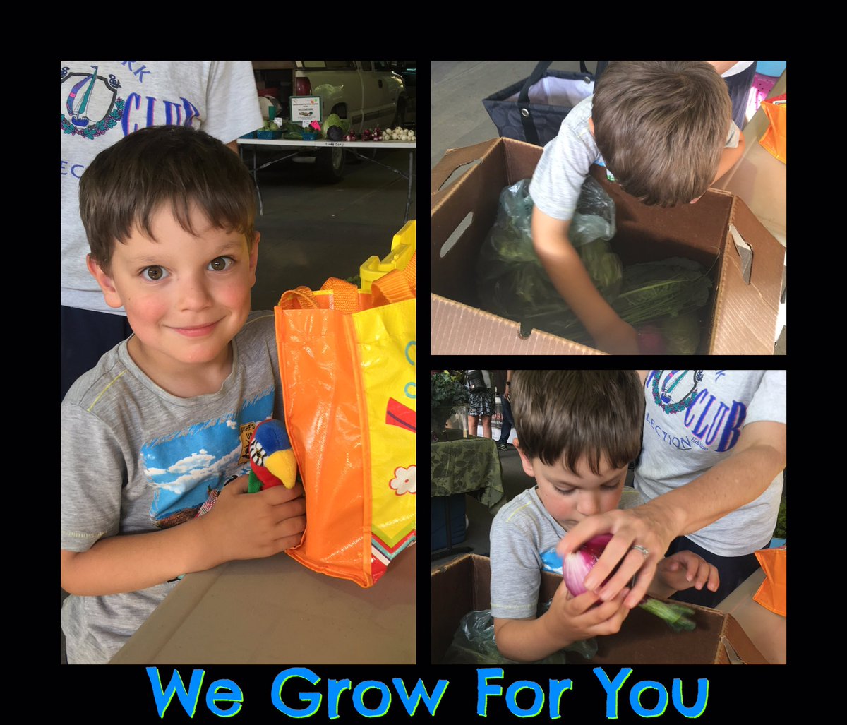 bountiful_csa's tweet photo. This is what it's all about right here.  This little guy is one of our members. Each week he gets excited to dive into the box! https://t.co/hltIqxUfFH