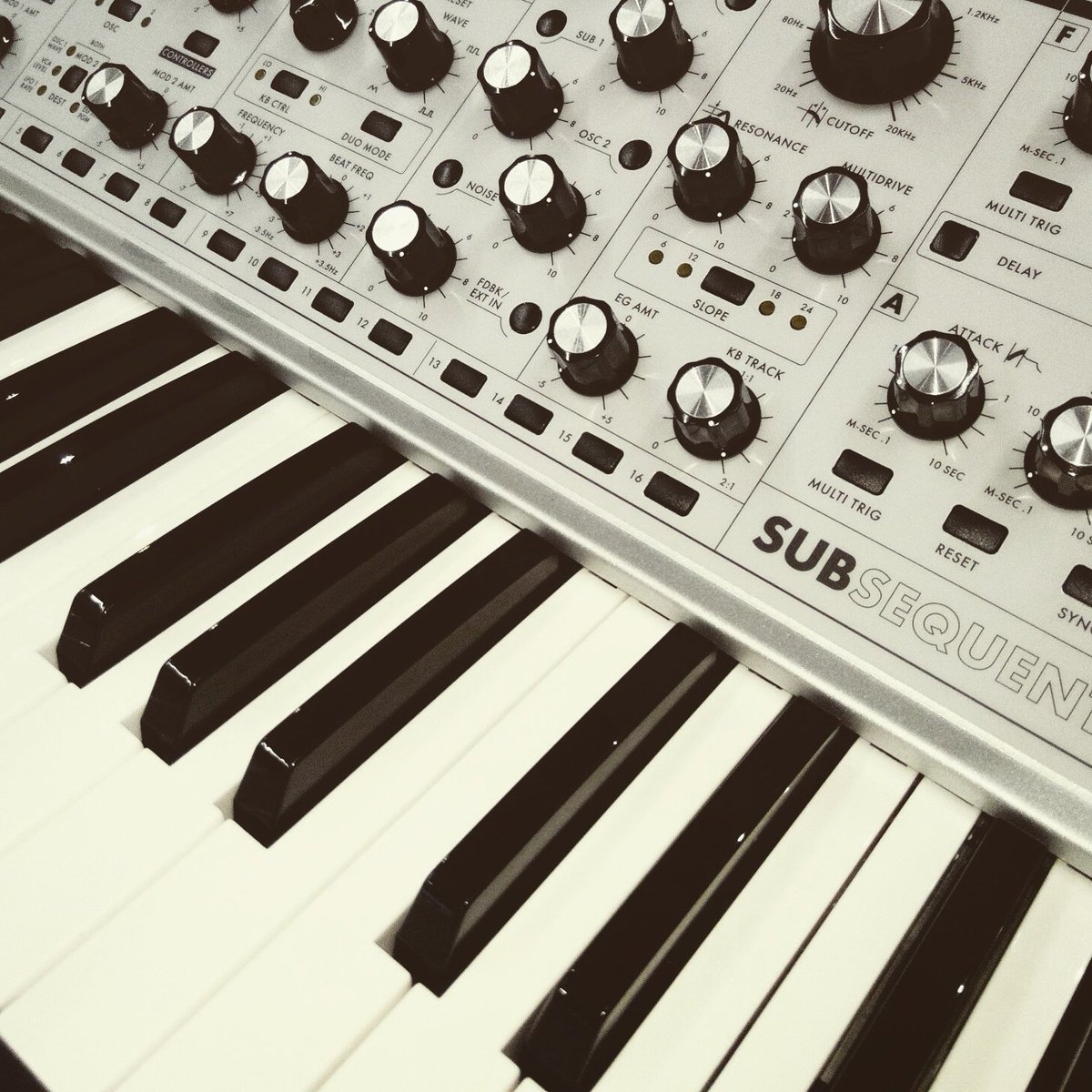 Such a beautiful machine <a href="/moogmusicinc/">Moog Synthesizers</a> having a play on this first one in Italy, just happen to be in a studio session here <a href="/MidiWare/">MidiWare</a>