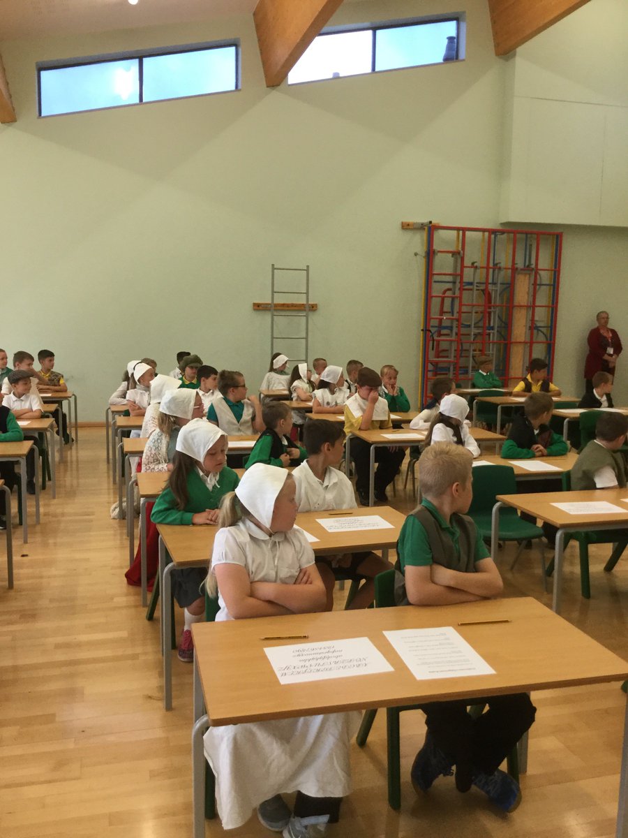 WillowGreenYear3 tweet media