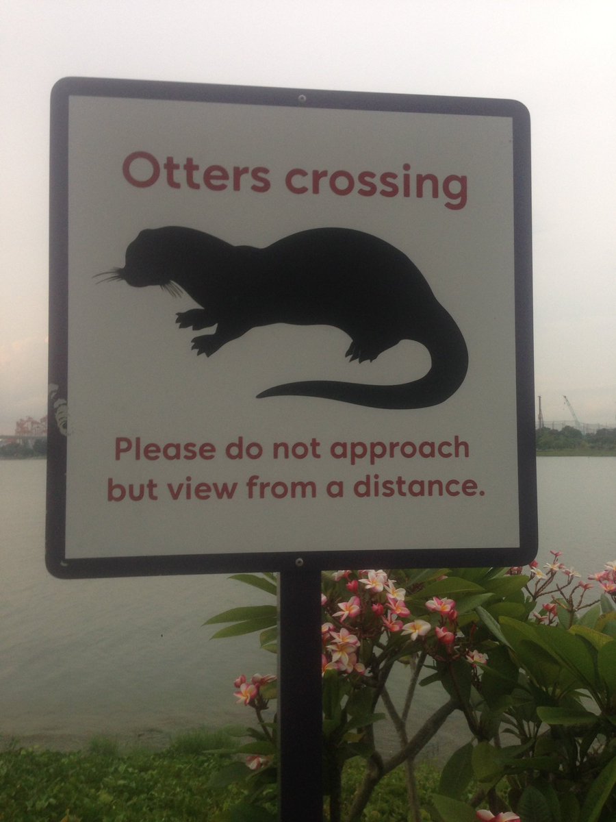 toni_gabaldon's tweet photo. The sign was right! #iums2017 #singapore https://t.co/cRqPicsdGr