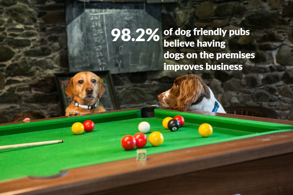 TheKennelClubUK's tweet photo. Could your business benefit from adopting a dog friendly attitude? Find out more at https://t.co/hFzg9bDU86 #BeDogFriendly https://t.co/woW8wvotkO