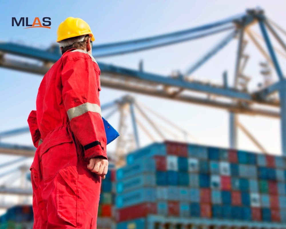 MLAS_Group's tweet photo. We specialize in timely processing of customs entries, import bonds, duty drawbacks &amp; preparing export declarations. #mlasgroup https://t.co/6Zx9RzguvW