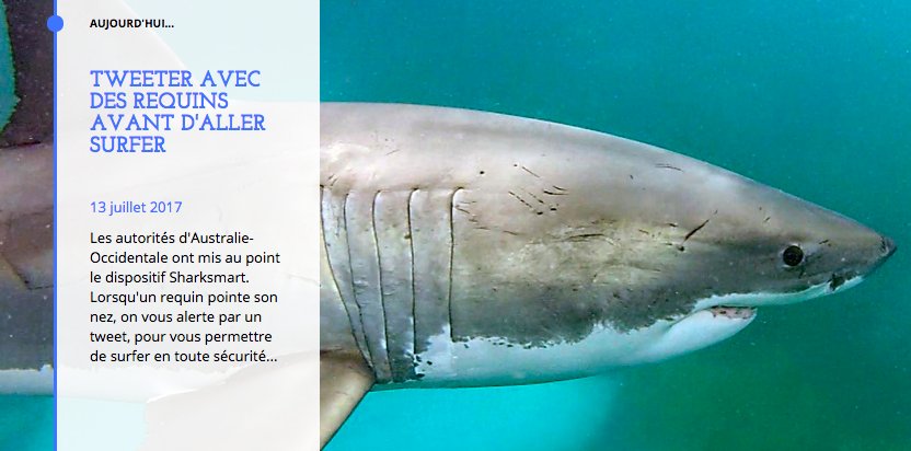 soon_x3's tweet photo. #bonplan Balancer son tweet aux requins avant de se mettre à l'eau #smartshark
https://t.co/3TjivvFsBe https://t.co/dCPBz2JAuh