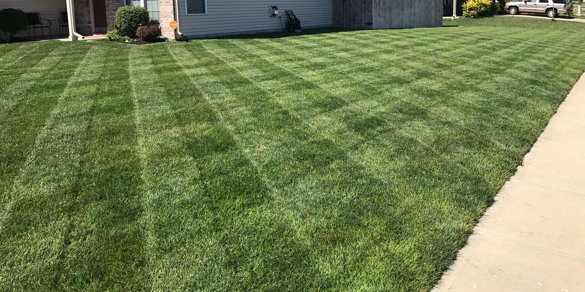 Turf will be healthier and stronger and you'll hear fewer complaints with the <a href="/FoliarPak/">Foliar-Pak</a> Custom Lawn Program. bit.ly/2tc1EBo