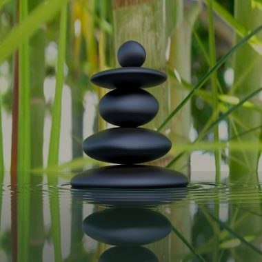 gerardwells6's tweet image. #Businesshosting offers high speed,superior quality #hosting using #SSDserver
geekcrunchhosting.com