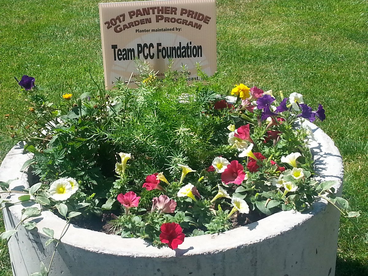 PuebloCCFound's tweet photo. The PCC Pueblo Campus is so bright this summer thanks to great donors who support the PCC Foundation and our garden project! https://t.co/7sI9jjCUMr