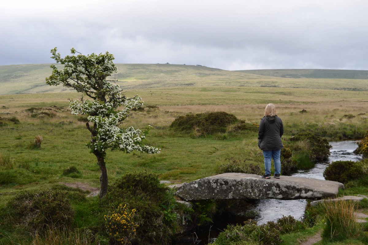 thecampercookie's tweet photo. Just wanted to share some pics from my last Dartmoor trip. #Dartmoor #campervan #roadtrip #vanlife #wildcamping #thebestwaytowakeup https://t.co/rPGn9pxXQ2