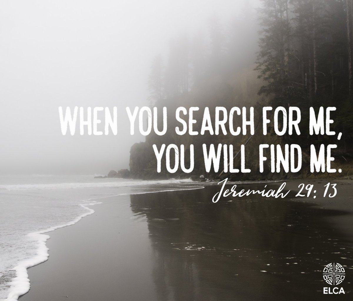 #ELCA