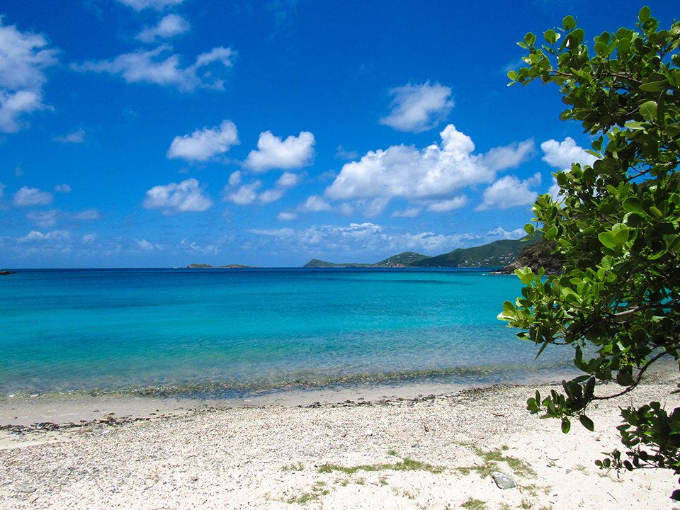SkinnyLegsVI's tweet photo. #HappyThursday from #StJohn #USVI today we're thinking #beach &amp; #book &amp; then #burger &amp; #beers also, we're looking at you weekend! #bringit https://t.co/J2cxqeimlW