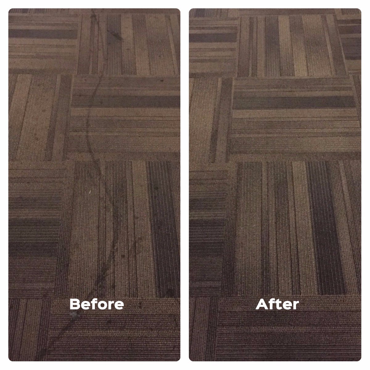 ScalzoClean tweet picture