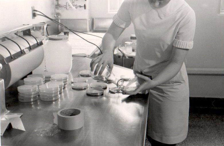 It's hard to believe 60 years have passed since PAML first opened its doors! #TBT