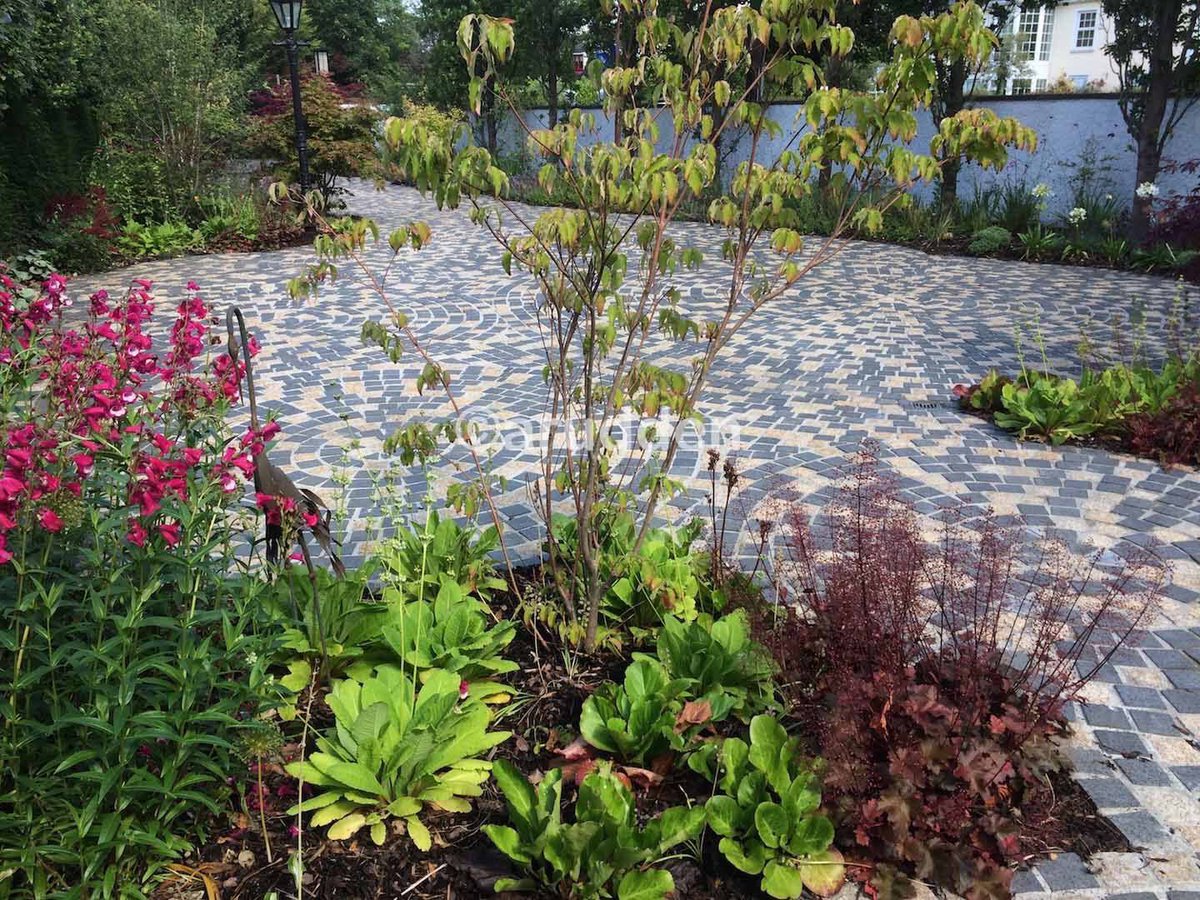 Alan Rudden (@AlanRudden) | Twitter