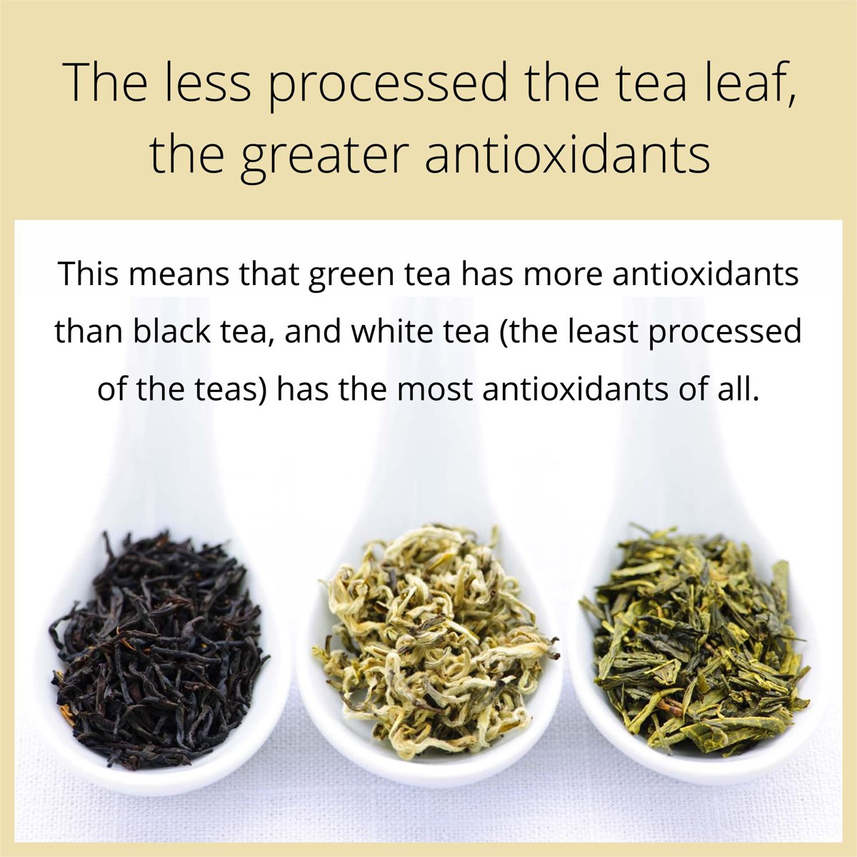 GoldenTipsIndia's tweet photo. The understanding of processing of tea is very important when it comes to tea types.
#TeaCounsel @GoldenTipsIndia https://t.co/QuXI71NjSs