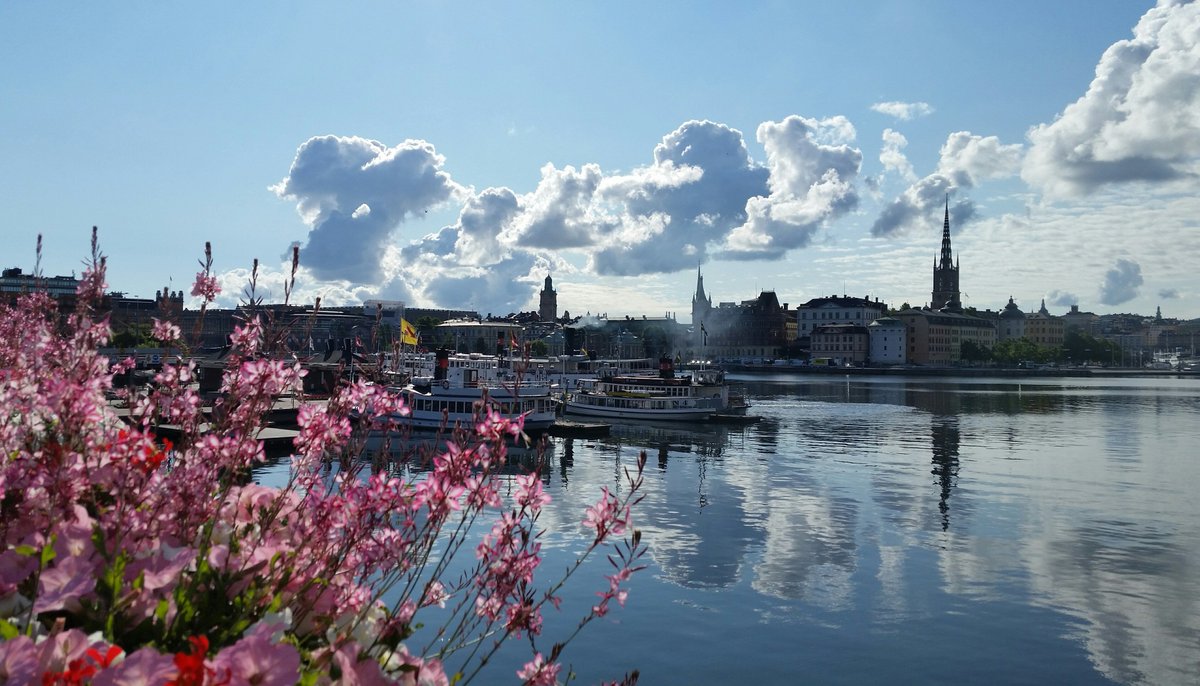 Stockholm_Uni's tweet image. Was a beautiful morning in Stockholm today!