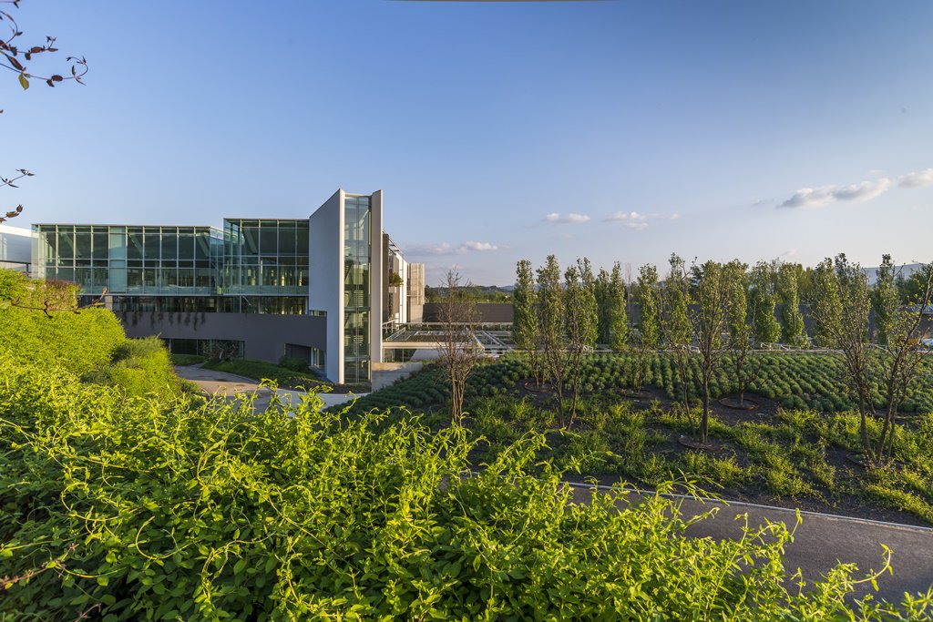 Shape a Future tweet media