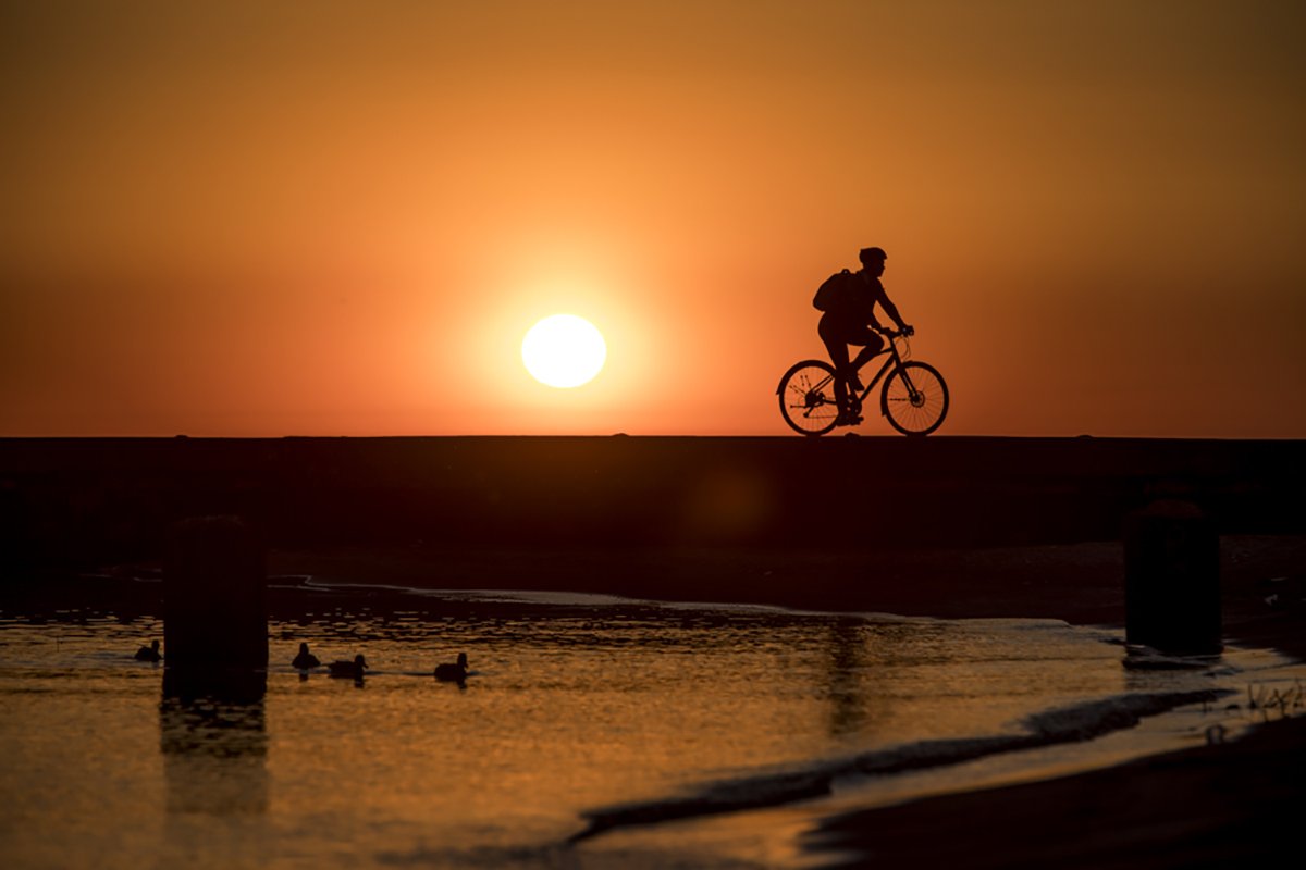 VitesseCycle's tweet photo. What better way to enjoy the sunrise than from the saddle of your new favorite ride? Stop by and check out a Trek FX today https://t.co/6CrCR2oKrR