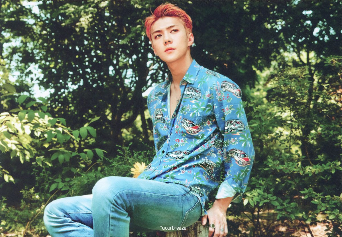 OhParkChan's tweet photo. Hun có cầm nhầm tim em rồi không?? ❤❤❤ #EXO #SEHUN #TheWarEXO  #KoKoBop https://t.co/tBpsKon0gH