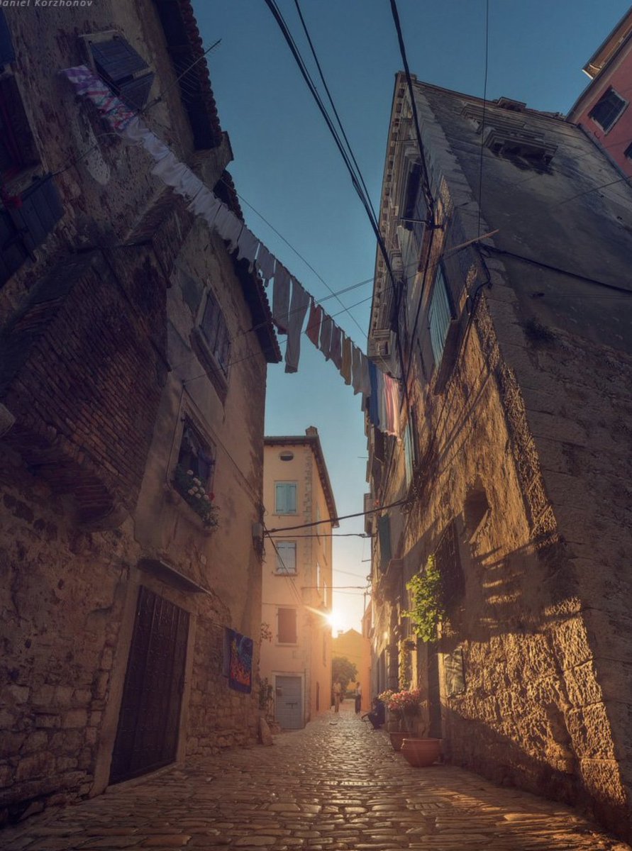Rovinj_official's tweet photo. Travel Tip: Escape the crowds by waking up early and hitting the Old Town for a morning walk! #Rovinj #exploring #Croatia https://t.co/3gjrYzwKkm