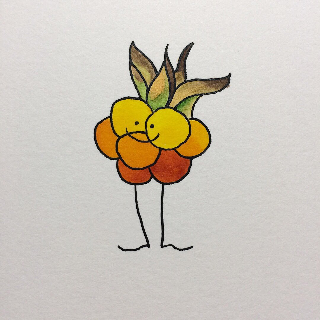 ruthielafond's tweet photo. 11/31 Cloudberry #cherriesandberries #ruthiedrawsfruits #cloudberry #illustration #kidlitart https://t.co/tMBQCewitO