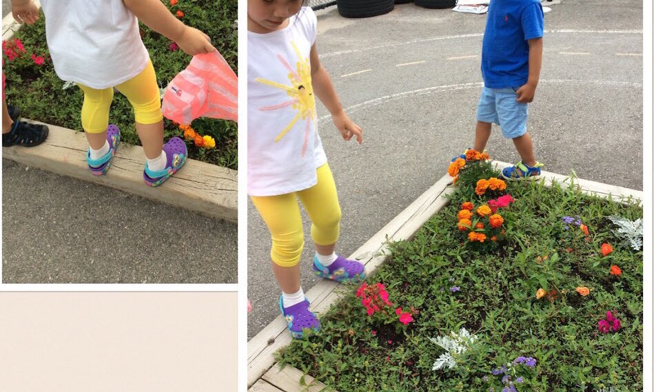 littlebigwonder's tweet photo. Working on our gross motor skills - balance, and the terms 'climb up' and 'jump off'. #bbfk #grossmotorskills #learningthelanguage https://t.co/eNGrqW0Eha