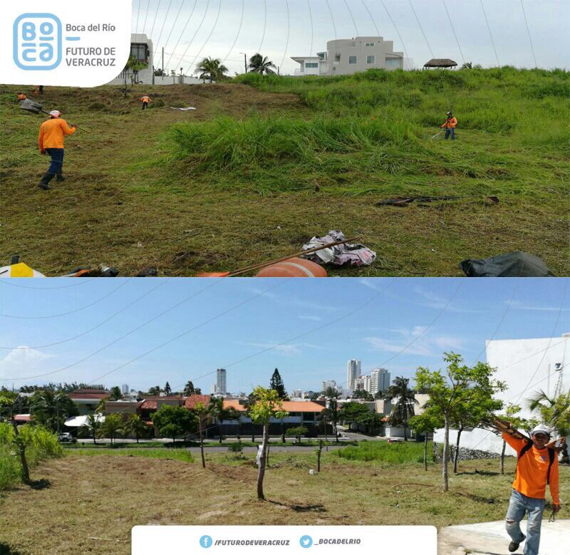_BocadelRio's tweet photo. Rehabilitamos 5 mil mts2 en el parque del Fracc. Costa de Oro con iluminación, reforestación y limpieza.
#BocaTransforma
#FuturoDeVeracruz https://t.co/1KR1RRQzzA
