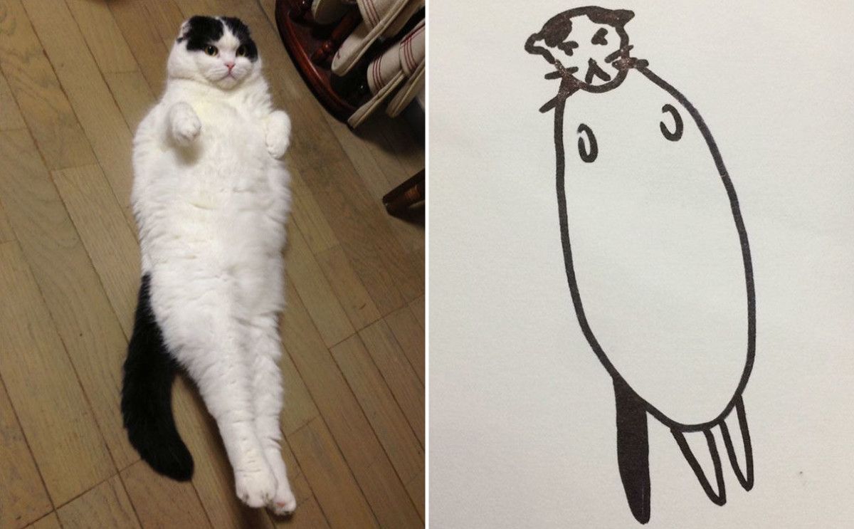 BlazePress's tweet photo. This Artist Was Told to Give up Drawing Cats, but That Didn't Stop Them https://t.co/rEv1ElL223 https://t.co/yjDs1hOYEM