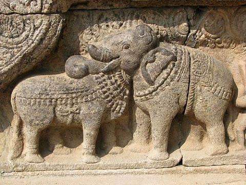 _neophile_'s tweet photo. @AMadhavaVarma @IndianInterest @IndiaPrideProj @Tarunvijay @DelhiTweeter @shravankapoor1 @Mamtatripathi03 @AshokSelvan @RareHistorical @dwimidhaM Rishaba Gunjaram from Airavateshwar temple, Darasuram https://t.co/8DZfztuZBb