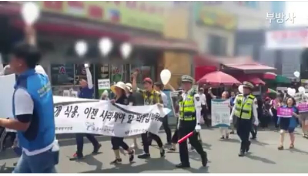 Koreandogs's tweet photo. Big thank you #BUSAN #KAPCA Protest event at the #DogMeat Market #EndDogMeatTrade #SouthKorea #SaveKoreanDogs
https://t.co/MJwva03TMe https://t.co/sFfWLpezh3