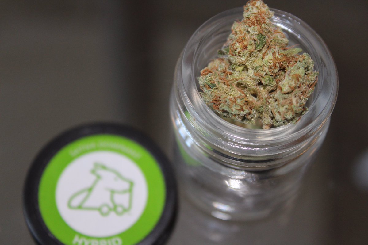 JoinGreenRush's tweet photo. Pineapple Chemdawg πβ½οΈβοΈ
from @kindcourier
of San Francisco, California
Order now at https://t.co/g7bSe5yLYG
#Cannabis #Weed #Marijuana https://t.co/Tubl5zxIu1