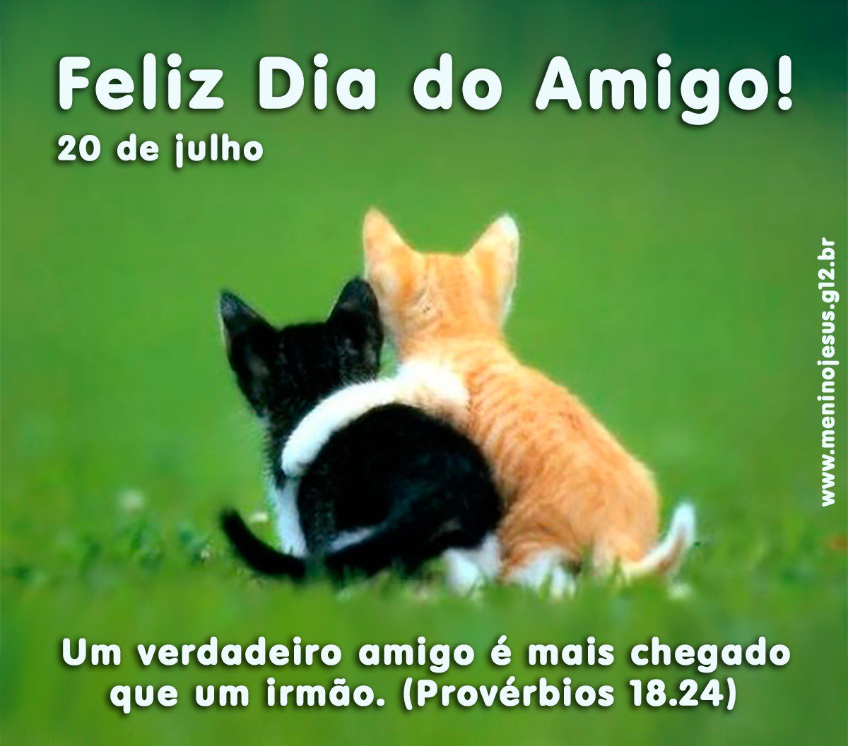GercinoGer's tweet photo. Boa tarde #DiaDoAmigo https://t.co/o2aSbxIsOn