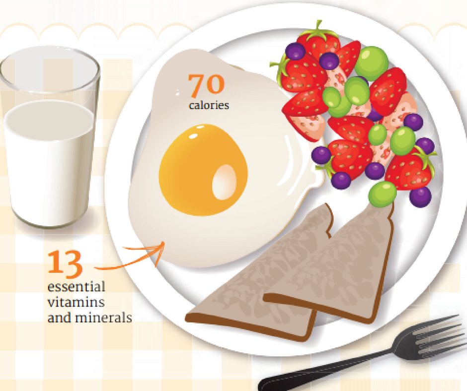 EggNutrition's tweet photo. Did you know, one large egg contains 6 grams of high-quality protein and 13 essential vitamins and minerals: https://t.co/V2l7vMNZDF https://t.co/z2DYFcLtka