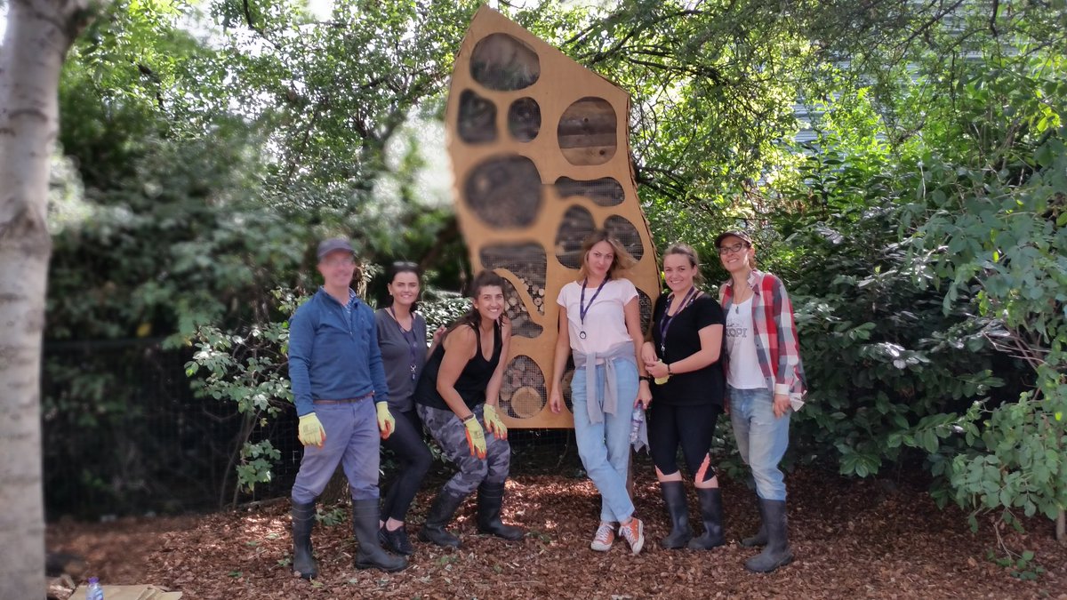 CodyDock's tweet photo. So rewarding,  job done. thanks to #starprimary #Unionroasted for making #wildaboutthecrescent #growwild #greeninggreybritain https://t.co/QnWnjJ6L6c